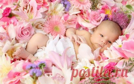 ПРИВЕТСТВУЮ ВАС, ДРУЗЬЯ! У ВАС ЕСТЬ ИНТЕРНЕТ,БАЗОВЫЕ ЗНАНИЯ КОМПЬЮТЕРА И ВАМ НУЖЕН ХОРОШИЙ ДОХОД!? Вы в декретном отпуске?Вы на пенсии, или напротив только окончили ВУЗ? ТОГДА У МЕНЯ ЕСТЬ, ЧТО ВАМ ПРЕДЛОЖИТЬ.