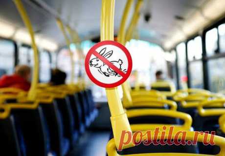 Если ты знаешь эти слова, то твой уровень Advanced | Ваш Английский! | Яндекс Дзен