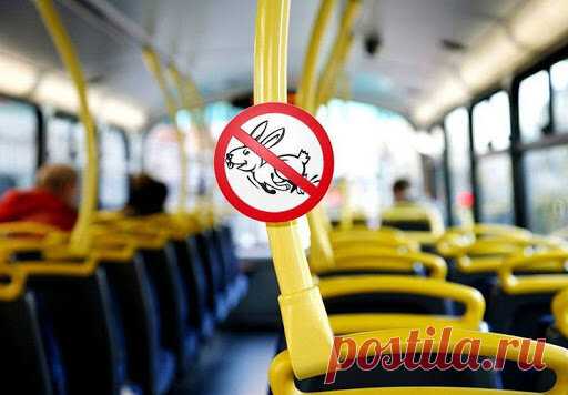 Если ты знаешь эти слова, то твой уровень Advanced | Ваш Английский! | Яндекс Дзен