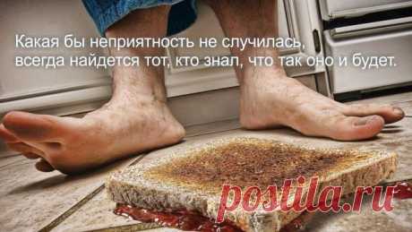 30 ироничных законов жизни