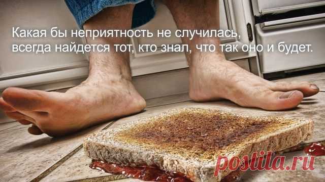 30 ироничных законов жизни