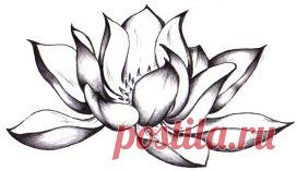 тату лотос - 2 355 картинок. Поиск Mail.Ru