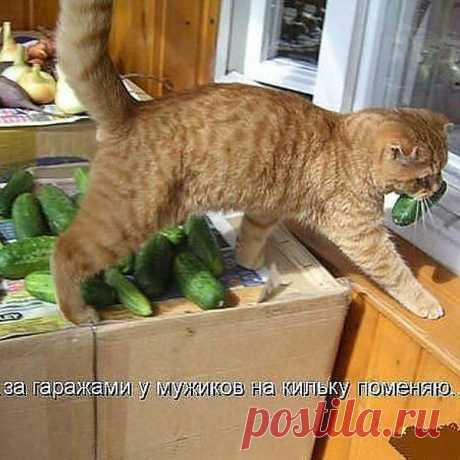 Щас, поменяю!