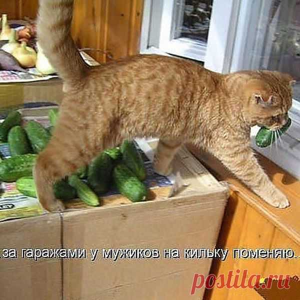 Щас, поменяю!
