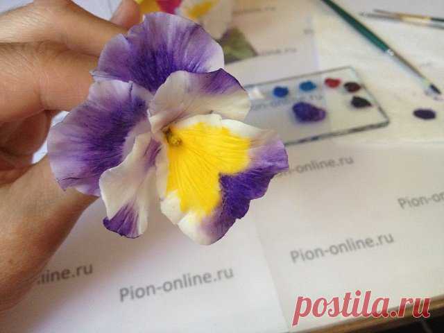 Керамическая флористика по созданию Анютины Глазки