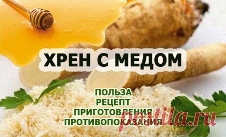 Хрен с медом: польза, рецепт приготовления, противопоказания, свойства