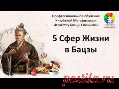 5 Сфер Жизни в Бацзы