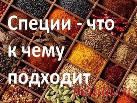 ДЛЯ МЯСА: красный, черный, душистый перец или гвоздика, майоран, тимьян, тмин, куркума, лук, орегано.
ДЛЯ ПТИЦЫ: тимьян, майоран, розмарин, шалфей, чабрец, базилик.
ДЛЯ РЫБЫ: лавровый лист, белый перец, имбирь, душистый перец, лук, кориандр, перец чили, горчица, укроп, тимьян.
ДЛЯ ГРИЛЯ: красный перец, душистый перец, кардамон, тимьян, майоран, мускатный орех и мускатный цвет, тмин, имбирь, перец чили.
ДЛЯ ДИЧИ: тимьян, душица обыкновенная, душистый перец, красный перец, можжевельник.
ДЛЯ Р