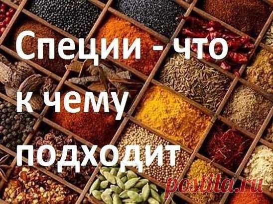 ДЛЯ МЯСА: красный, черный, душистый перец или гвоздика, майоран, тимьян, тмин, куркума, лук, орегано.
ДЛЯ ПТИЦЫ: тимьян, майоран, розмарин, шалфей, чабрец, базилик.
ДЛЯ РЫБЫ: лавровый лист, белый перец, имбирь, душистый перец, лук, кориандр, перец чили, горчица, укроп, тимьян.
ДЛЯ ГРИЛЯ: красный перец, душистый перец, кардамон, тимьян, майоран, мускатный орех и мускатный цвет, тмин, имбирь, перец чили.
ДЛЯ ДИЧИ: тимьян, душица обыкновенная, душистый перец, красный перец, можжевельник.
ДЛЯ Р