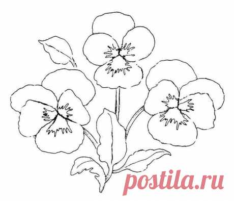 Вышивка гладью: анютины глазки. Эскизы