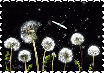 – Google+
