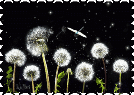 – Google+