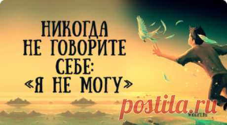 Восемь правил сильного, здорового и счастливого человека
Очень часто у нас есть всё — образование, деньги, положение в обществе. Но бывает, нет самого главного — здоровья и счастья. Иногда для того, чтобы быть счастливым и здоровым нужно всего лишь привести свой внутренний мир в порядок, то есть — наши мысли. Есть некоторая система, которая поможет нам в этом. Данная статья о правилах этой системы. […]
Читай дальше на сайте. Жми подробнее ➡