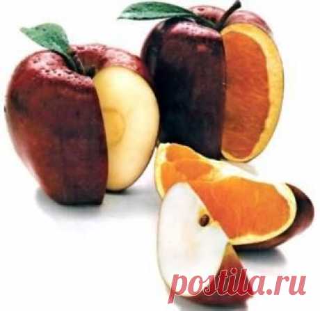 Как отличить ГМО продукты от настоящих