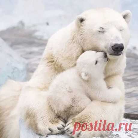 Google+