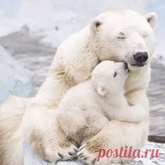 Google+