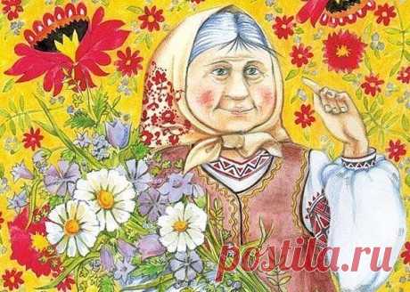 (96) Одноклассники