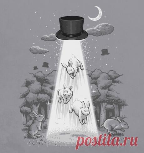 40 веселых картинок с налетом черного юмора