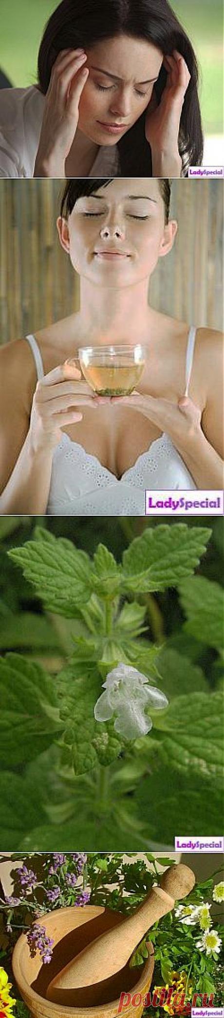 Народные средства от головной боли - Женский журнал LadySpecial.ru