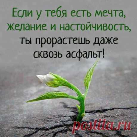 (2) Мы выбираем счастье