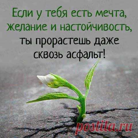 (2) Мы выбираем счастье