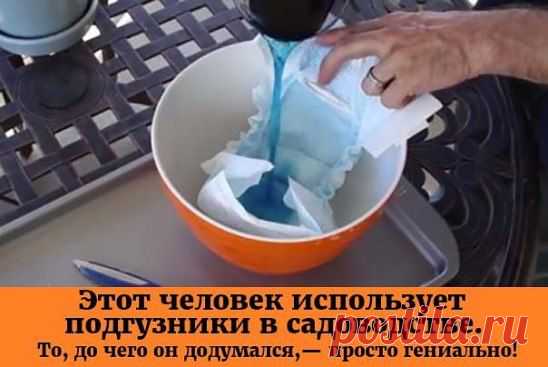 (49) Одноклассники