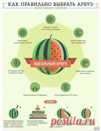 Как правильно выбрать дыню и арбуз 
Полезная шпаргалка - сохраняй!