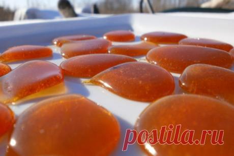 Пастила из тыквы: рецепт и фото на сайте Всё о десертах