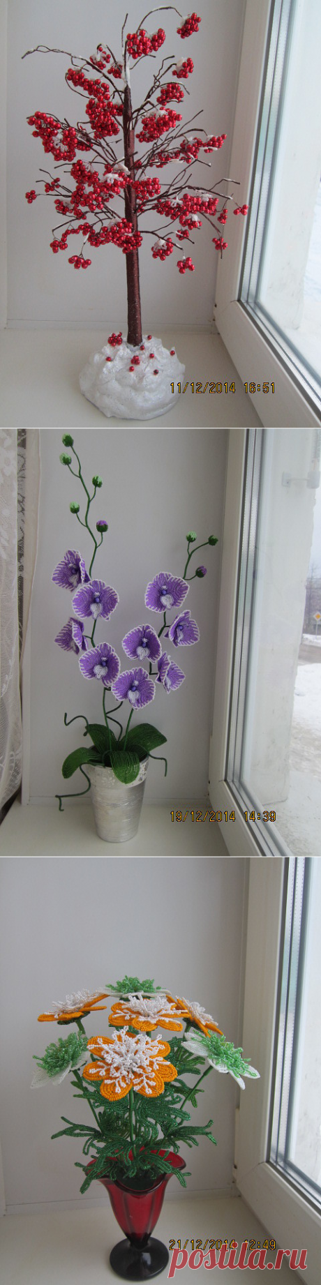 одноклассники