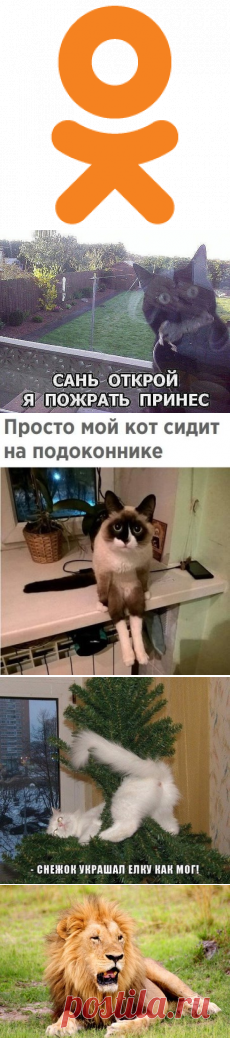 OK.RU