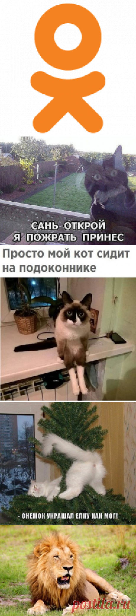OK.RU