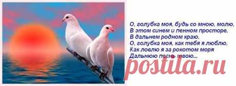 Где б ты не плавал, всюду к тебе, мой милый, я прилечу голубкой сизокрылой...