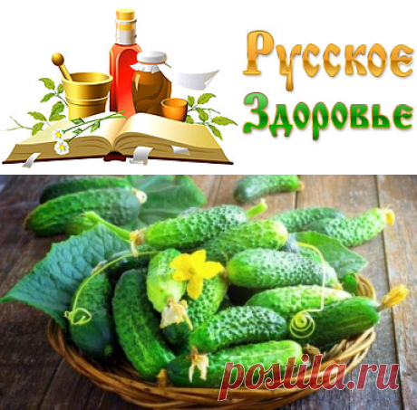 Секреты огурца
