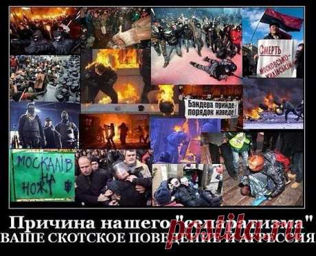 Интересные новости.