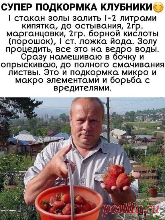 Домашний Очаг Домашний Очаг
Обновление фасада и крыши старенького дачного дома - впечатляющий результат