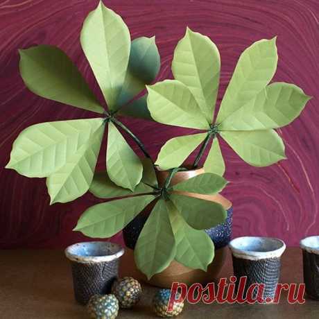 Leaf it to Lia 🌿✨Our paper chestnut leaves are easy as can be... Visit liagriffith.com/paper-chestnut-leaves/ for how-to *
*
*
#diyinspiration #diyidea #diyideas #diyproject #diyprojects #papercut #paperart #paperleaves #cricutmade #madewithlia