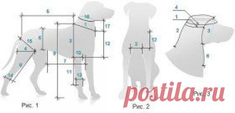 ПРИНЦИПЫ ВЯЗАНИЯ ДЛЯ СОБАК
КАК СНЯТЬ МЕРКИ ДЛЯ СОБАК