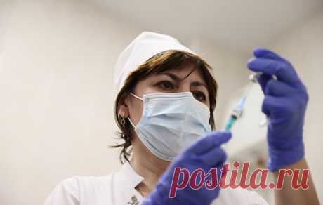 Что такое коллективный иммунитет? Какие прививки нужны взрослым? Вопросы о вакцинации. 24 апреля начинается Всемирная неделя иммунизации, ее проводят с 2012 года под эгидой ООН по инициативе ВОЗ