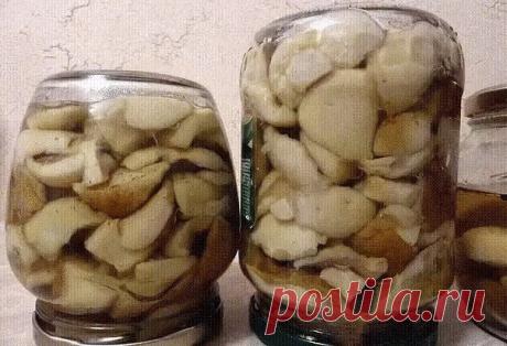 ОДИННАДЦАТЬ ЗАГОТОВОК ГРИБОВ НА ЗИМУ! ОДИННАДЦАТЬ ЗАГОТОВОК ГРИБОВ НА ЗИМУ!
1) . Засолка грибов - холодный способ. 
грибы (рыжики, черные и белые грузди, волнушки, сыроежки) - 1 кг
соль - 100 г
смородина - 10–12 листьев
вишня - 5–6 листиков
хрен - 2 листа
укроп - 2 зонтика
лавровый лист - 2–3 шт.
перец горошком - по вкусу
чеснок - по вкусу
Грузди, волнушки или сыроежки вымыть и залить холодной водой на 5–6 ч. (Рыжики не вымачивают, а только промывают). На дно деревянной ил...