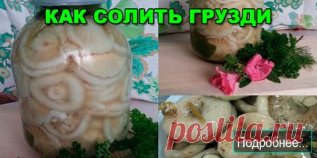 КАК СОЛИТЬ ГРУЗДИ - ПОЛЕЗНЫЕ СОВЕТЫ