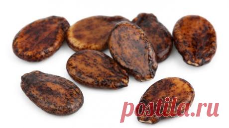 Я и не подозревала, что эти маленькие семена имеют такую целебную силу! — Копилочка полезных советов