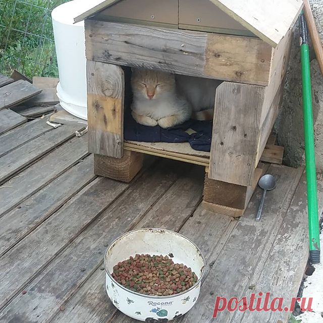 На охране дома...