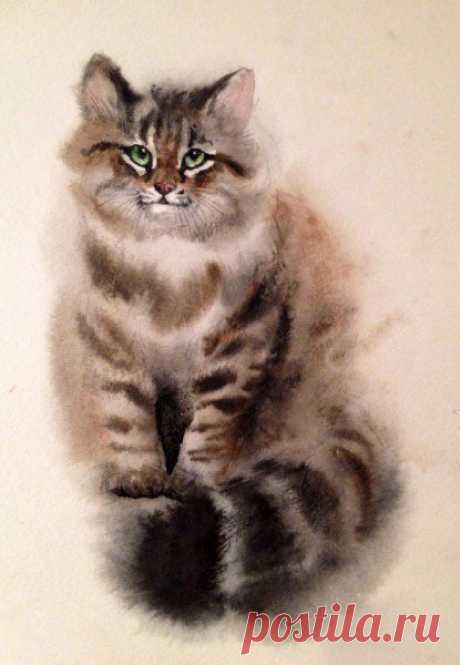 ​Котик акварелью