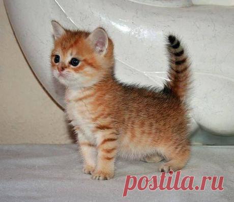 Оранжевое небо, оранжевое море, оранжевая мама, оранжевый и Я)))))))