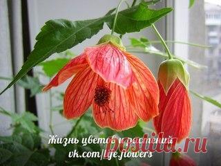 Мои закладки