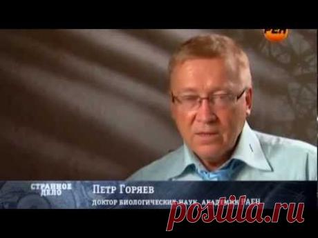 Странное дело - ГИБЕЛЬ ИМПЕРИЙ (С участием Петра Гаряева)