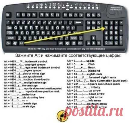 Как печатать разные символы.
Сохрани на стену, чтобы не потерять!