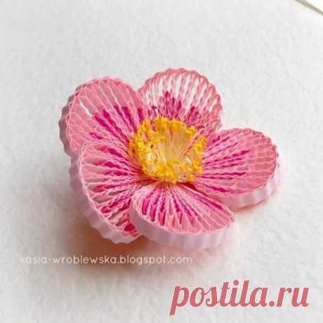 New #flower 
I continue my experiments with #quilling 
#flowerlover #quillingcreations #quilled_flowers #quilled #rękodzieło #niezchinzpolski #handamade #paper #paperartist