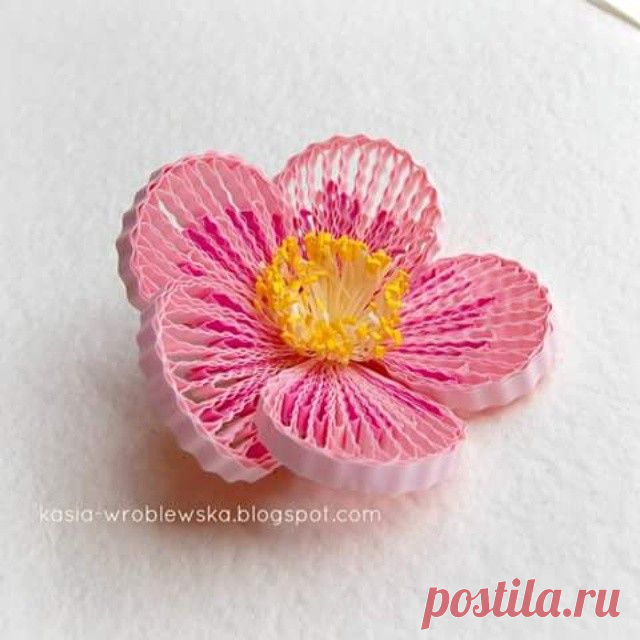 New #flower 
I continue my experiments with #quilling 
#flowerlover #quillingcreations #quilled_flowers #quilled #rękodzieło #niezchinzpolski #handamade #paper #paperartist