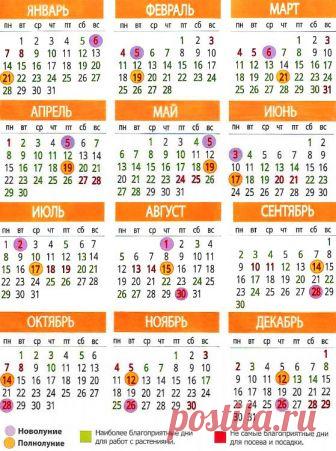 Календарь посадки рассады на 2019-й год